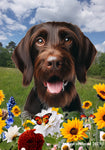 German Wirehaired Pointer -  Best of Breed  Summer Fields Outdoor House and Garden Flag