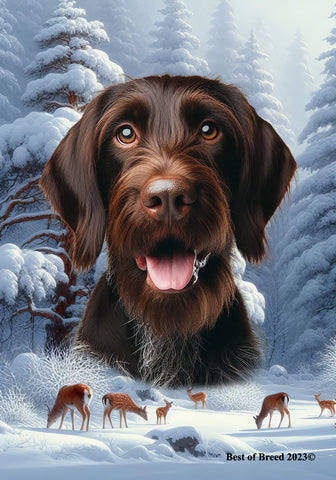 German Wirehaired Pointer -  Best of Breed  Winter Wonderland Outdoor House and Garden Flag