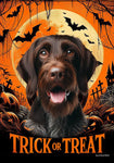 German Wirehaired Pointer -  Best of Breed  Halloween Outdoor House and Garden Flag