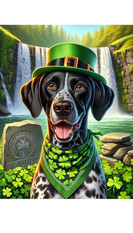 German Shorthair Pointer Black - Best of Breed DCR Saint Patricks Day Day Outdoor House and Garden Flag