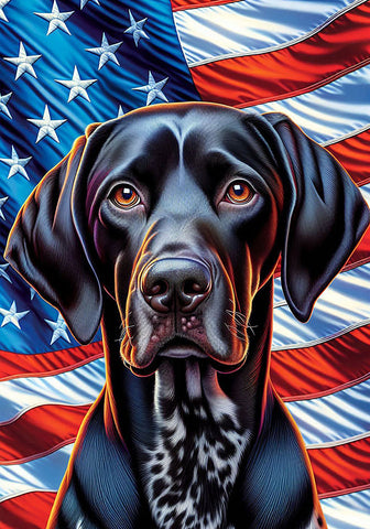 German Shorthair Pointer Black - Best of Breed DCR Patriotic III   Outdoor House and Garden Flag