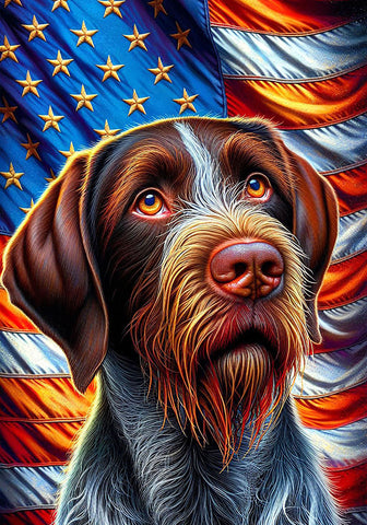 German Wirehaired Pointer - Best of Breed DCR Patriotic III   Outdoor House and Garden Flag