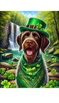 German Wirehaired Pointer - Best of Breed DCR Saint Patricks Day Day Outdoor House and Garden Flag