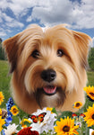 Glen of Imal Terrier Wheaten - Best of Breed  Summer Fields Outdoor House and Garden Flag