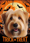 Glen of Imal Terrier Wheaten - Best of Breed  Halloween Outdoor House and Garden Flag