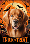 Golden Retriever Red - Best of Breed  Halloween Outdoor House and Garden Flag