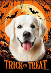 Golden Retriever White - Best of Breed  Halloween Outdoor House and Garden Flag