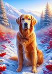 Golden Retriever - Best of Breed DCR Winter Berries Outdoor House and Garden Flag