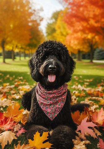 Goldendoodle Black - Best of Breed DCR Falling Leaves Outdoor Flag