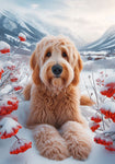 Goldendoodle Blonde - Best of Breed DCR Winter Berries Outdoor House and Garden Flag