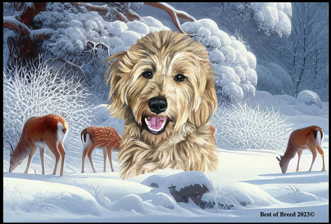 Goldendoodle Blonde - Best of Breed Winter Wonderland Floor Mat Tufted Loop 18" x 27"