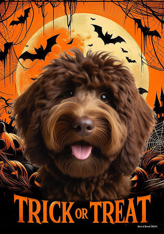 Goldendoodle  Chocolate - Best of Breed  Halloween Outdoor House and Garden Flag