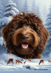 Goldendoodle  Chocolate - Best of Breed  Winter Wonderland Outdoor House and Garden Flag