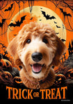 Goldendoodle Red - Best of Breed  Halloween Outdoor House and Garden Flag