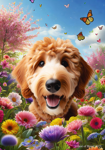 Goldendoodle Red - Best of Breed  Spring Butterflies Outdoor House and Garden Flag