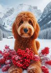 Goldendoodle Red - Best of Breed DCR Winter Berries Outdoor House and Garden Flag