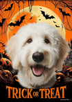 Goldendoodle White - Best of Breed  Halloween Outdoor House and Garden Flag