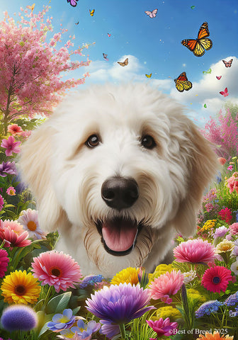 Goldendoodle White - Best of Breed  Spring Butterflies Outdoor House and Garden Flag