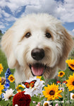 Goldendoodle White - Best of Breed  Summer Fields Outdoor House and Garden Flag