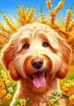 Goldendoodle Apricot - Best of Breed DCR Spring II    Outdoor House and Garden Flag