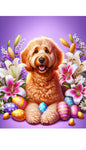 Goldendoodle Apricot - Best of Breed DCR Easter Holiday    Outdoor House and Garden Flag