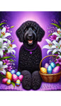 Goldendoodle Black - Best of Breed DCR Easter Holiday    Outdoor House and Garden Flag