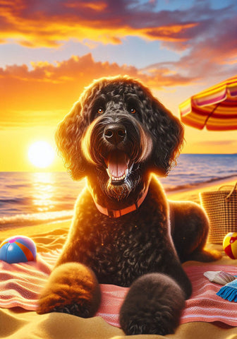Goldendoodle Black - Best of Breed DCR Summer Sunset Outdoor House and Garden Flag