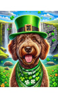 Goldendoodle Chocolate - Best of Breed DCR Saint Patricks Day Day Outdoor House and Garden Flag