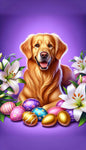 Golden Retriever - Best of Breed DCR Easter Holiday    Outdoor House and Garden Flag