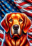 Golden Retriever Red - Best of Breed DCR Patriotic III   Outdoor House and Garden Flag
