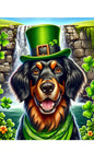 Gordon Setter - Best of Breed DCR Saint Patricks Day Day Outdoor House and Garden Flag