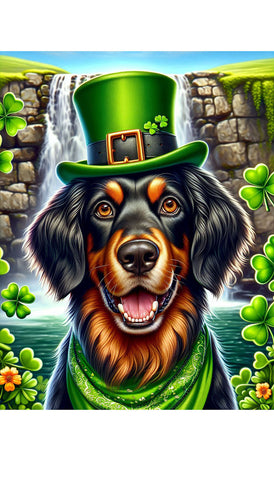 Gordon Setter - Best of Breed DCR Saint Patricks Day Day Outdoor House and Garden Flag