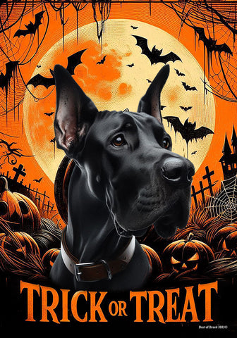 Great Dane Black Cropped - Best of Breed  Halloween Outdoor House and Garden Flag