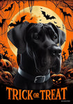 Great Dane Black Uncropped - Best of Breed  Halloween Outdoor House and Garden Flag