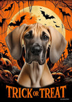 Great Dane Fawn Uncropped - Best of Breed  Halloween Outdoor House and Garden Flag