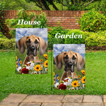 Great Dane Fawn Uncropped - Best of Breed  Summer Fields Outdoor House and Garden Flag