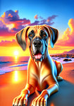 Great Dane Fawn Uncropped - Best of Breed DCR Summer Sunset Outdoor House and Garden Flag