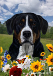 Greater Swiss Mountain Dog - Best of Breed  Summer Fields Outdoor House and Garden Flag