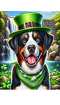 Greater Swiss Mountain Dog - Best of Breed DCR Saint Patricks Day Day Outdoor House and Garden Flag