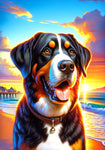 Greater Swiss Mountain Dog - Best of Breed DCR Summer Sunset Outdoor House and Garden Flag