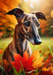 Greyhound Brindle - Best of Breed DCR Falling Leaves Outdoor Flag