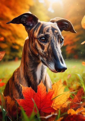 Greyhound Brindle - Best of Breed DCR Falling Leaves Outdoor Flag