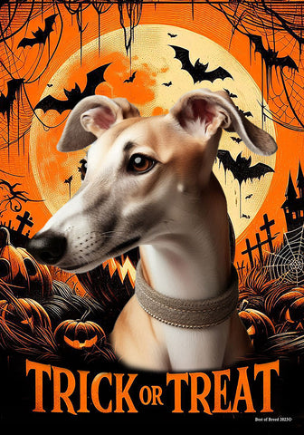 Greyhound Fawn - Best of Breed  Halloween Outdoor House and Garden Flag