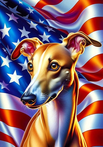 Greyhound Fawn - Best of Breed DCR Patriotic III   Outdoor House and Garden Flag
