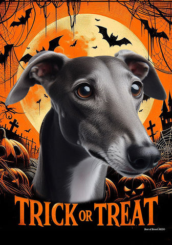 Greyhound Grey - Best of Breed  Halloween Outdoor House and Garden Flag