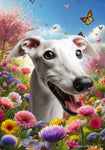 Greyhound White -  Best of Breed  Spring Butterflies Outdoor House and Garden Flag