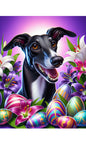 Greyhound Black - Best of Breed DCR Easter Holiday    Outdoor House and Garden Flag