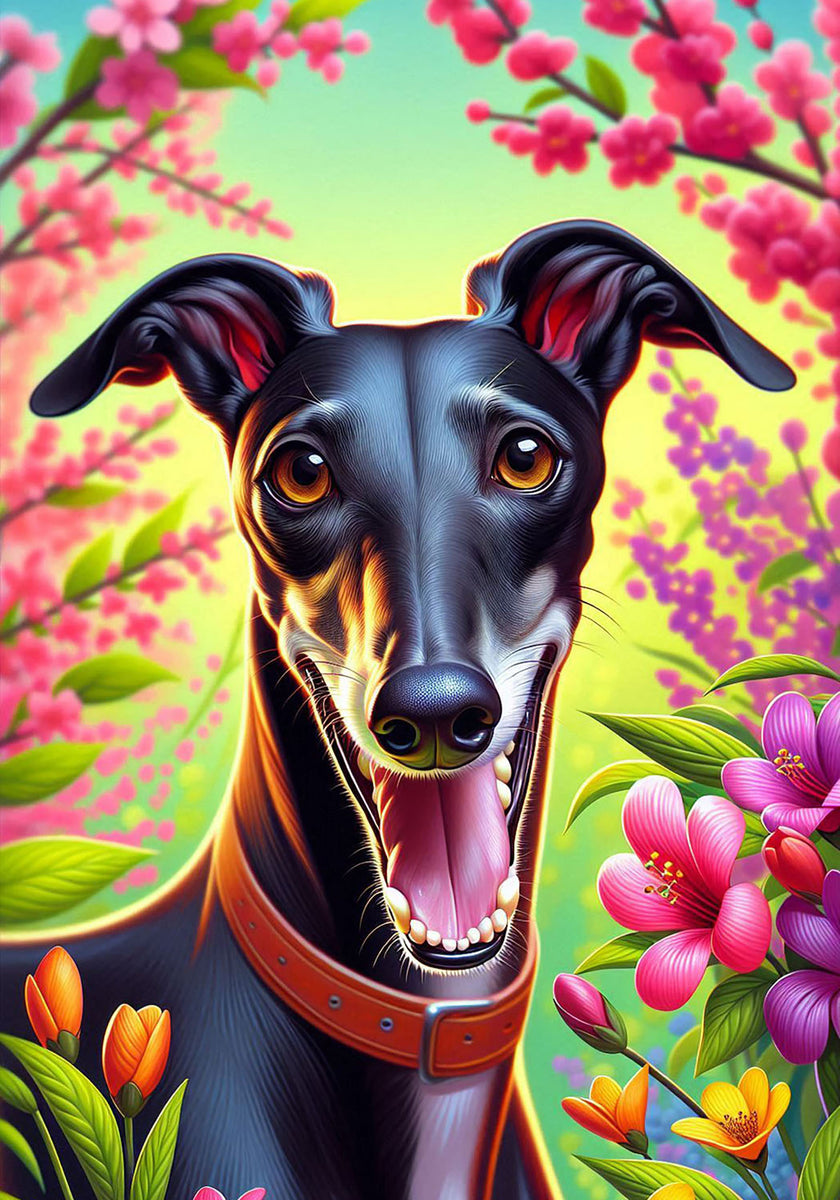 Greyhound Black - Best of Breed DCR Spring II Outdoor House and Garden