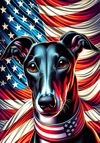 Greyhound Black - Best of Breed DCR Patriotic III   Outdoor House and Garden Flag