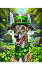 Greyhound Brindle - Best of Breed DCR Saint Patricks Day Day Outdoor House and Garden Flag